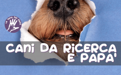 Cani da ricerca e Papà
