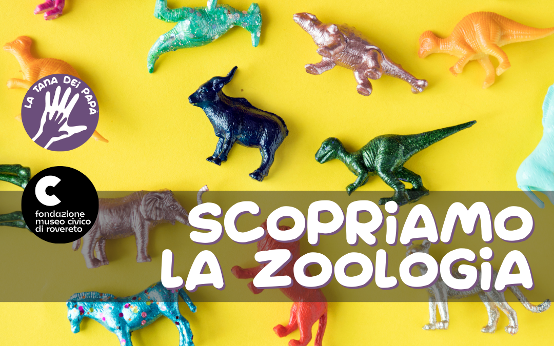 Scopriamo la zoologia – 4 febbraio