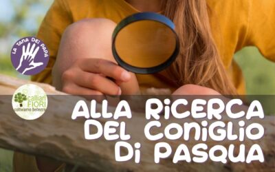 Il coniglio di Pasqua – 23 marzo